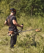 Mitarbeiter mit Freischneider